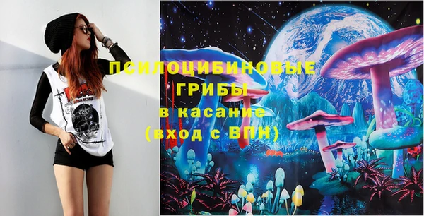 СК Богородицк