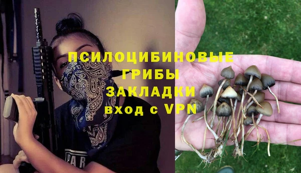 гашик Богданович