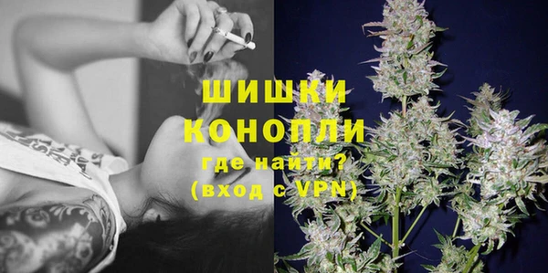 СК Богородицк