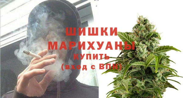 мет Бородино